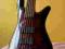 Spector Rebop 5 fretless, preamp Aguilar OBP1