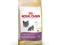 Royal Canin British Shorthair 2kg Częstochowa