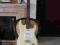 Vintage Stratocaster - kapitalny