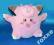 POKEMON - CLEFAIRY