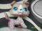 lps littlest pet shop piesek collie unikat