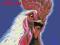 ATOMIC ROOSTER Atomic Rooster (Same) LP NOWA