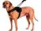 Patento Pet Jockey szelki dla psa rozmiar XL