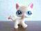 kot kotek LPS *LITTLEST PET SHOP*