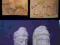 Gliniane tabliczki z Mohendżodaro i jego Władcy