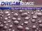 DREAM DANCE VOL.13