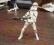 Clone Trooper - figurka