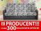 Wersalka Kanapa OLA - 300 MATERIAŁÓW do wyboru!