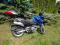 Suzuki XF 650 Freewind