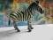 Schleich Zebra