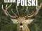 ILUSTROWANA ENCYKLOPEDIA SSAKÓW POLSKI