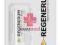 REGENERUM serum  do ust pomadka