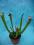 Rośliny owadożene Kapturnica Sarracenia