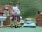 Sylvanian Families Czekoladowy królik z toaletą