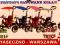 ROWEREK TRÓJKOŁOWY wózek spacerówka Sport Trike
