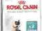 Royal Canin Hairball 34 - 2kg