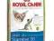 Royal Canin Siamese 38 - 2 kg