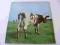 PINK FLOYD Atom heart mother UK NM