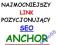 Wysoko w Google,Link anchor,SEO,TANIO KUP TERAZ!