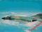 PHANTOM II OBIEG 1970