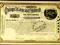 Stock Certyficate Chicago St. Louis &amp; Pittsbur