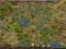 KONTO THE SETTLERS ONLINE 48LVL Dolina Odkrywców