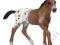 SCHLEICH KONIE ŹREBIĘ RASY APPALOOSA 13733 W-wa