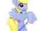 08 MY LITTLE PONY SASZETKA FALA1 LILY BLOSSOM KART