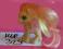 My little pony kucyk MLP 329