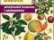 Egzotyczne owoce. Właściwości lecznicze i zastosow