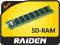 RAIDEN | Pamięć RAM SDRAM PC133 256 MB