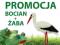 !! PROMOCJA !! - BOCIAN + ŻABA figury ogrodowe