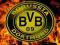 KUBEK BORUSSIA DORTMUND BVB+IMIĘ