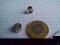 MAGNES NEODYMOWY MAGNESY NEODYMOWE MP 8x5x5 N38