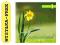 INSTERUMENTAL VOL 1 [CD]
