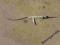 Antena Daewoo Lanos 1.5 8V