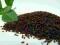 Błonnik psyllium (babka płesznik) ziarna 500g
