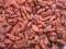 JAGODY GOJI suszone na słońcu _Niesiarkowane_500 g