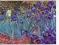 VAN GOGH - IRISES IRIYSY FP 8443