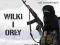 WILKI I ORŁY - Rafał Dębski    CD MP3      A6