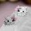 KOLCZYKI  HELLO KITTY CYRKONIE SWAROVSKI