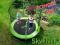 JK TRAMPOLINA SKYFLYER RING 2w1 244CM 8ft +Gratisy