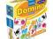 GRA DOMINO KOLORY