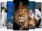 SONY XPERIA T LT30P Head Case WILDLIFEetui obudowa