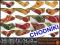 CHODNIK 140 CM OBSZYCIE GRATIS     CENA TYLO 42 ZŁ