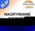 LICENCJA nagrywanie 1 kanał CENTRALA LIBRA PLATAN