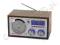 Radiobudzik CRESTA model FM033