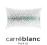 Poszewka na poduszkę LAVEZZI 50x70cm - Carre Blanc