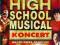 HIGH SCHOOL MUSICAL KONCERT (DISNEY) [DVD]