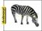 dvdmaxpl SCHLEICH ZEBRA PASĄCA SIĘ 14609 (ZABAWKA)